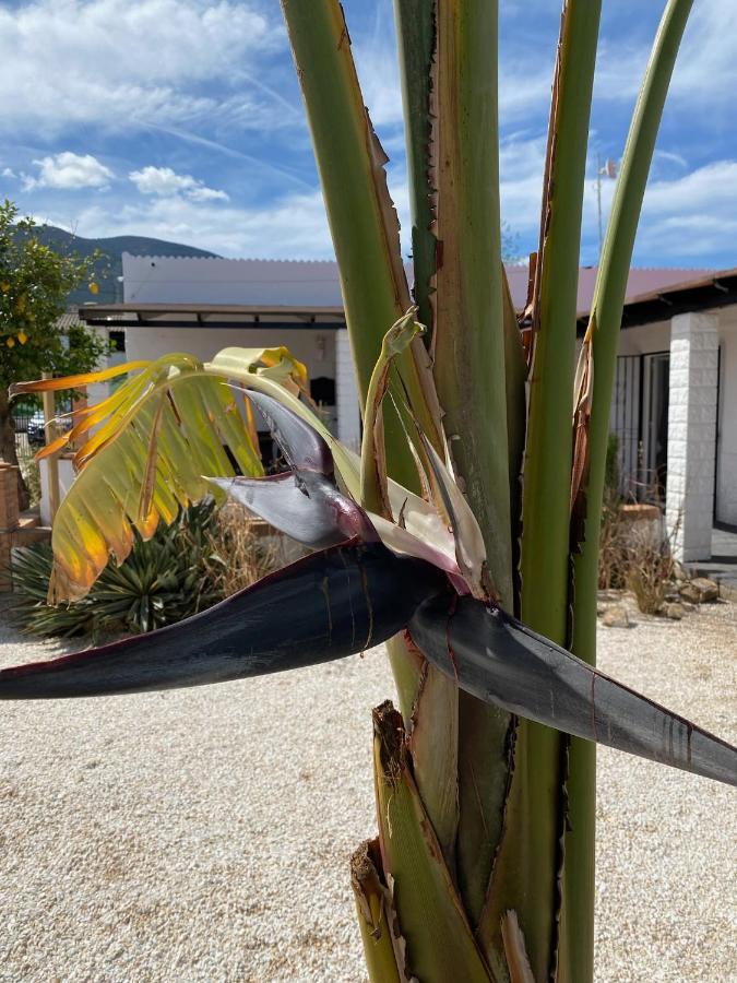 Casa Mama Villa Alhaurín el Grande Eksteriør bilde